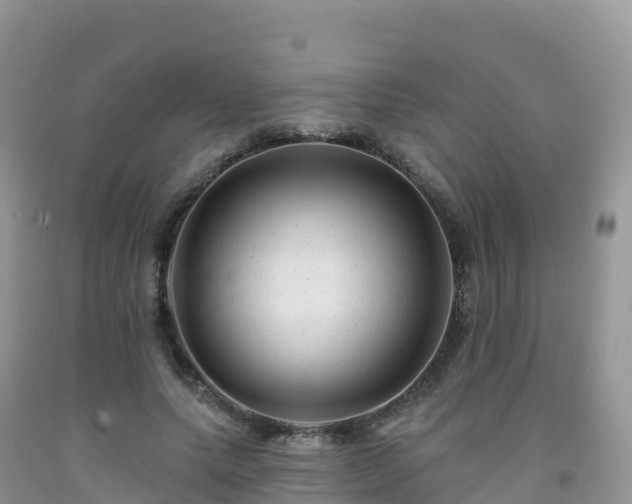 X0000092080639200709191226
