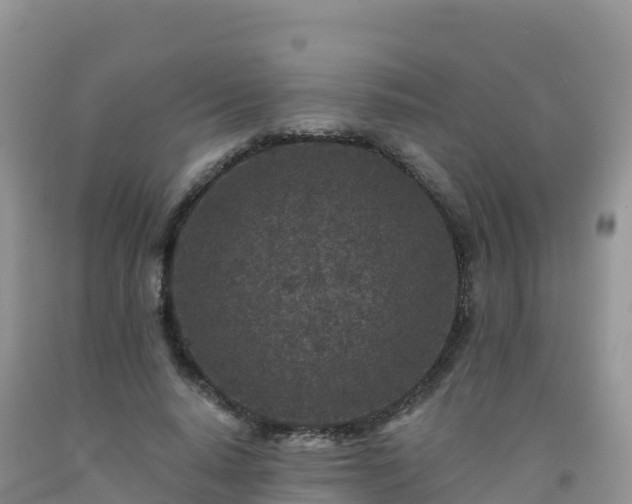 X0000092080640200709191226