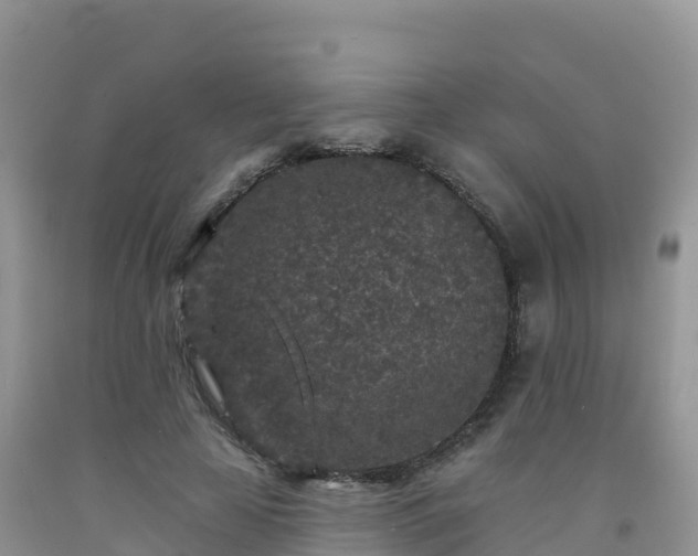 X0000092080641200709191226