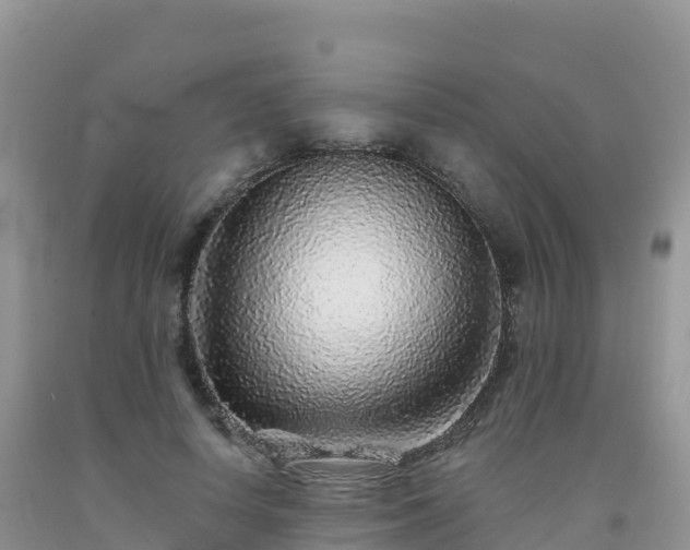 X0000092080642200709191226