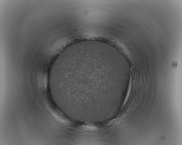X0000092080644200709191226