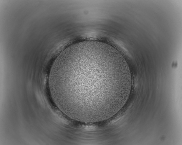 X0000092080645200709191226