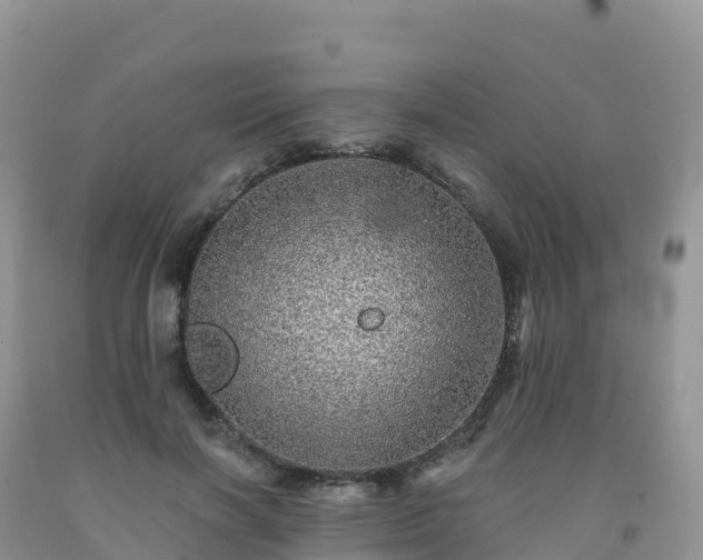 X0000092080646200709191226