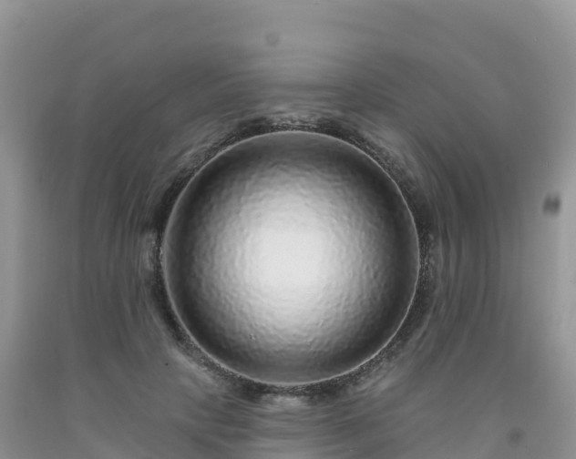 X0000092080649200709191226