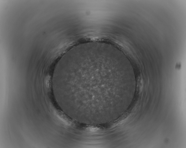 X0000092080650200709191226