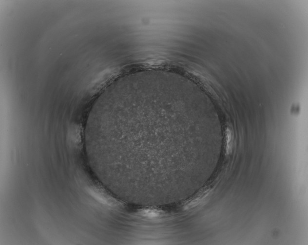 X0000092080654200709191226