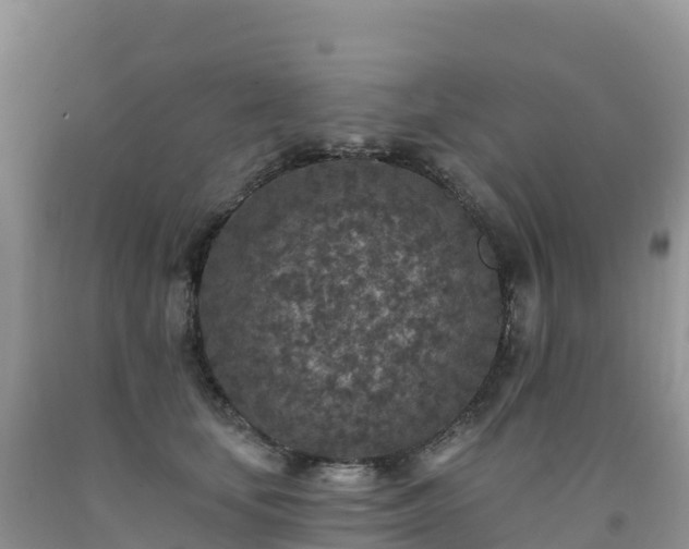 X0000092080659200709191226