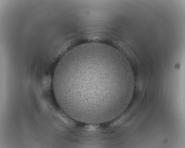 X0000092080660200709191226