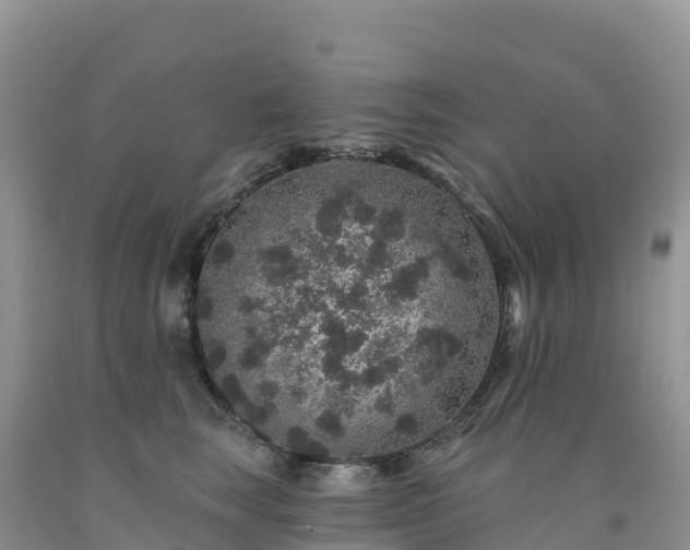 X0000092080663200709191226