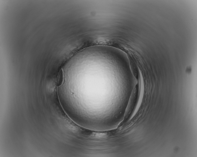 X0000092080665200709191226