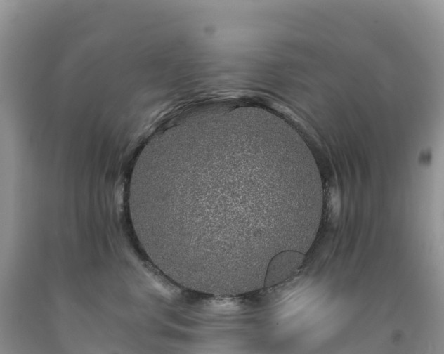 X0000092080668200709191226