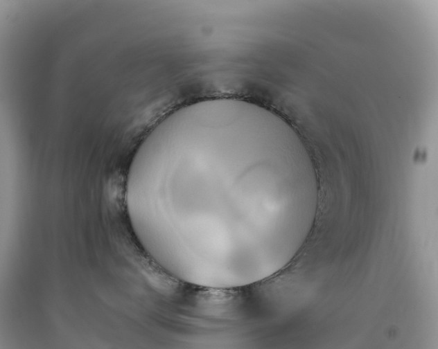 X0000092080672200709191226