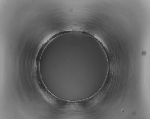 X0000092080674200709191225