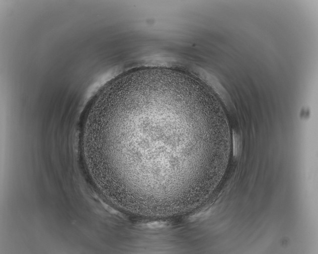 X0000092080675200709191225