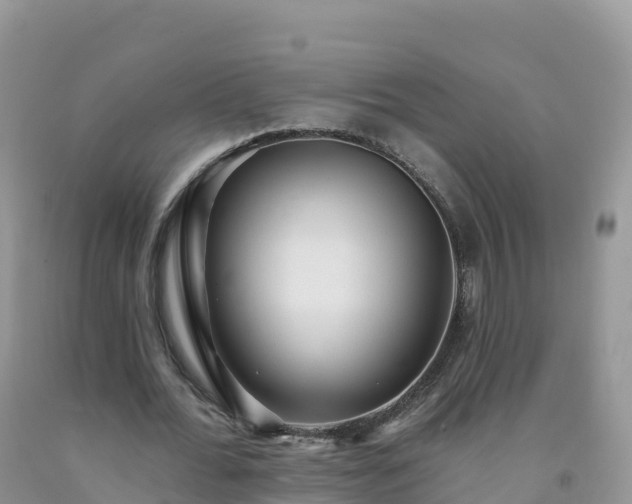 X0000092080676200709191225