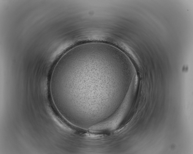 X0000092080677200709191225