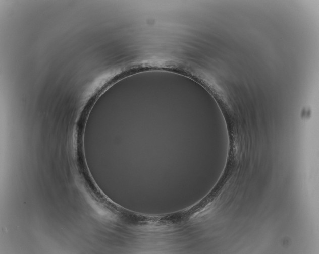 X0000092080678200709191225