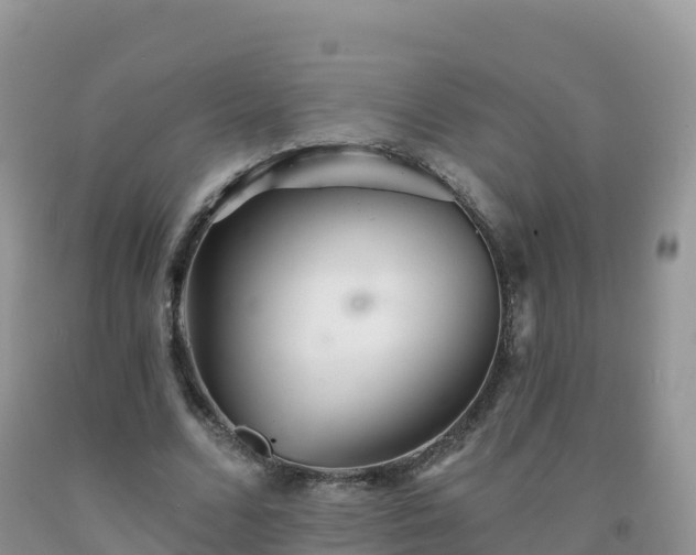 X0000092080680200709191225