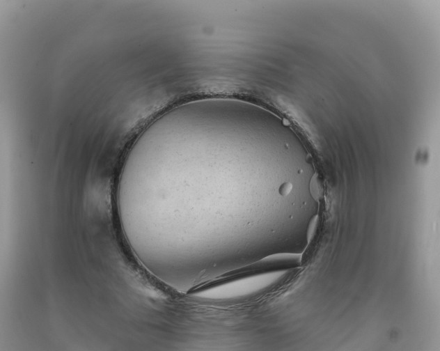 X0000092080681200709191225