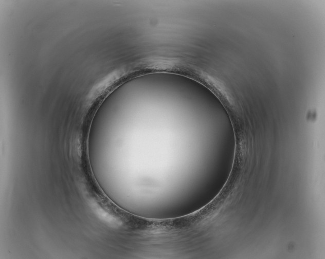 X0000092080682200709191225