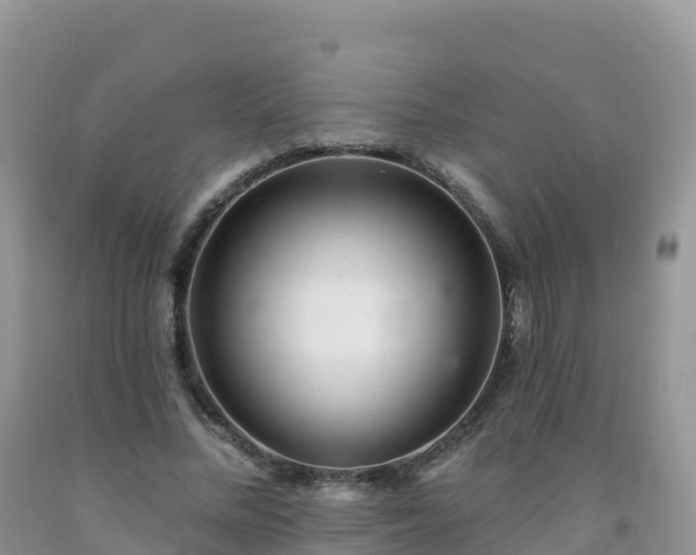 X0000092080684200709191225