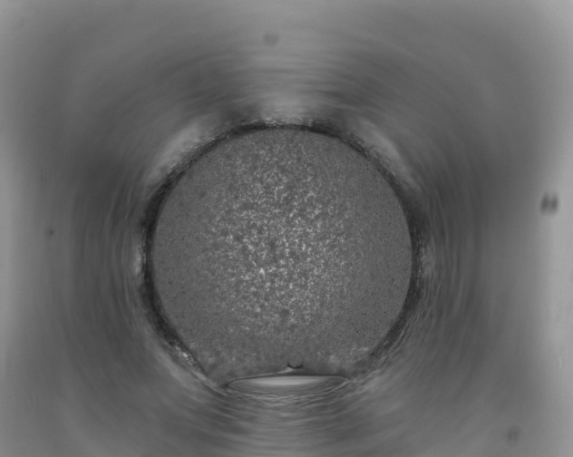 X0000092080687200709191225