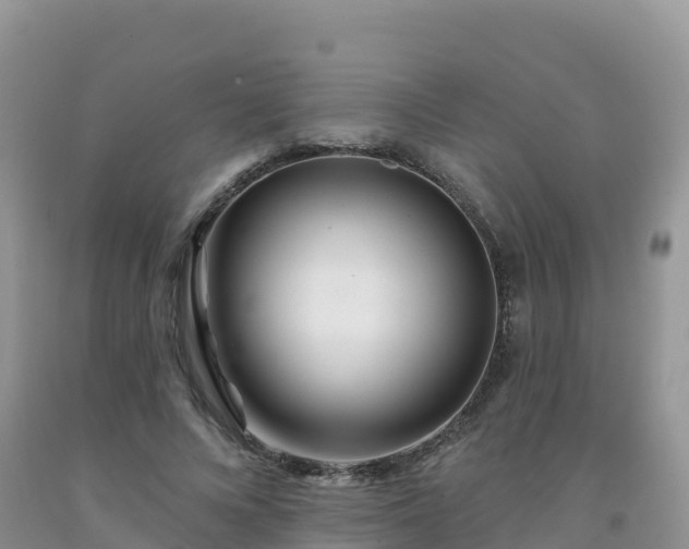 X0000092080688200709191225