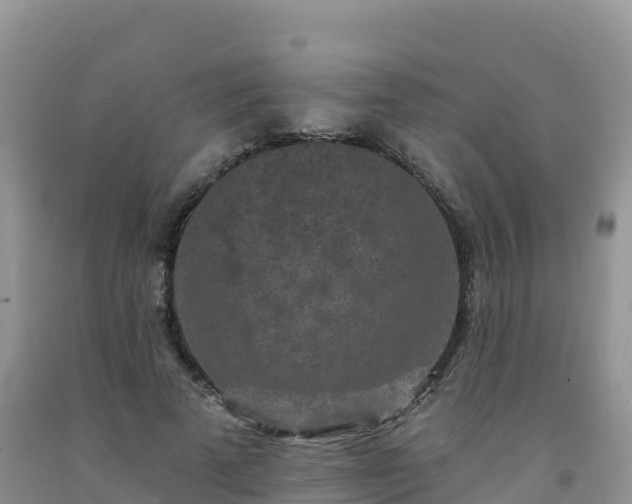 X0000092080689200709191225
