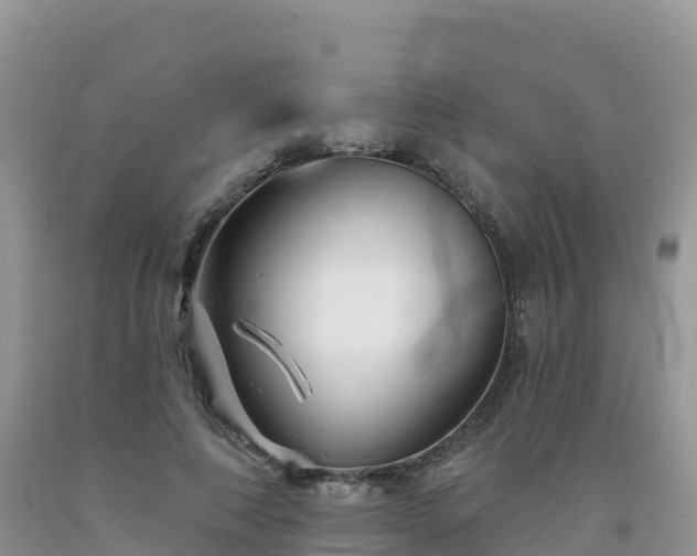 X0000092080690200709191225