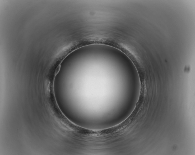 X0000092080692200709191225