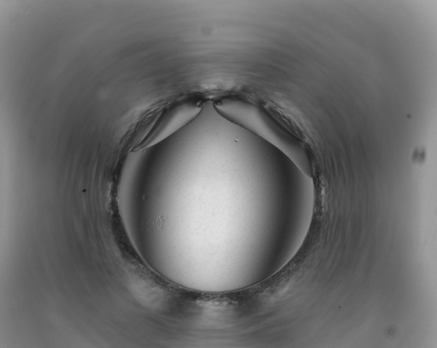 X0000092080693200709191225