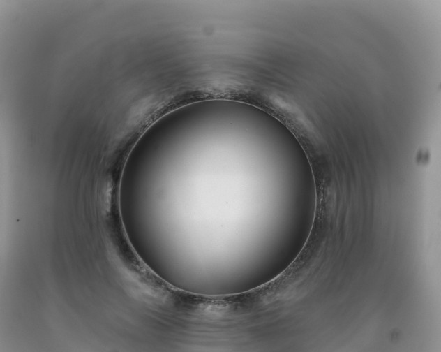 X0000092080694200709191225