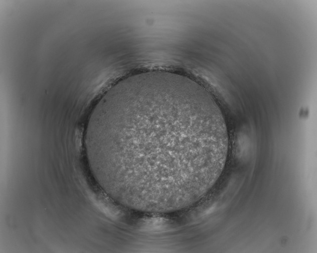 X0000092080695200709191225