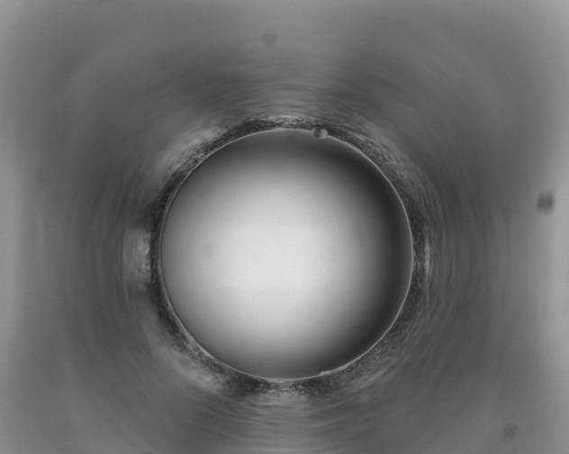 X0000092080696200709191225