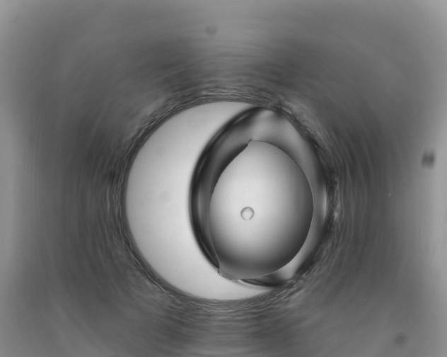 X0000092080697200709191225