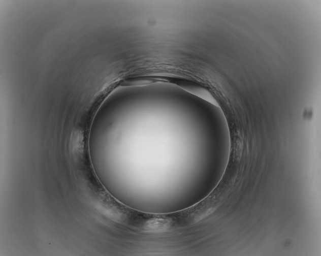 X0000092080700200709191225