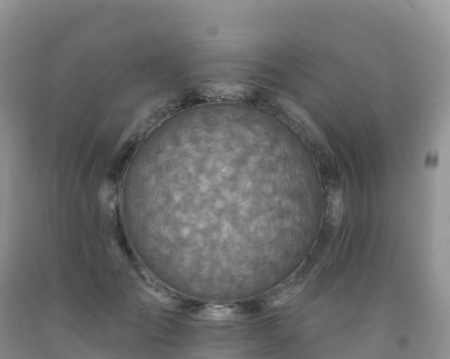 X0000092080701200709191225