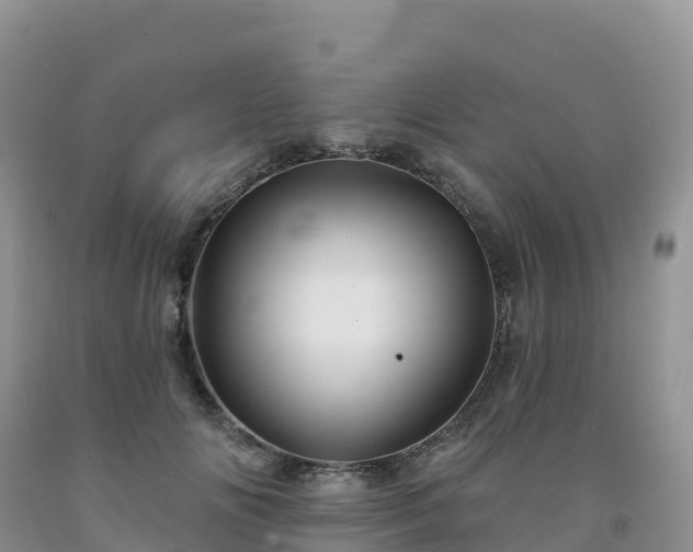 X0000092080702200709191225