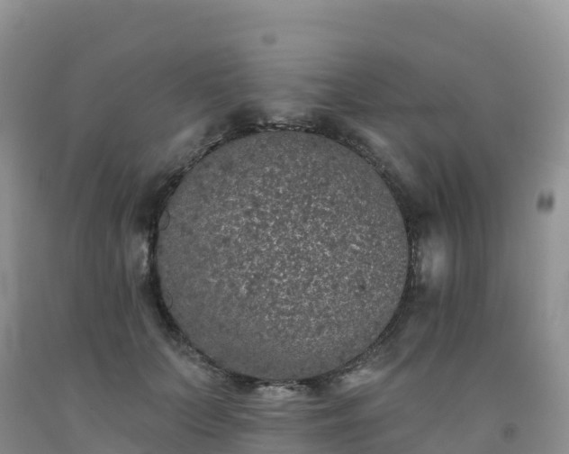 X0000092080703200709191225