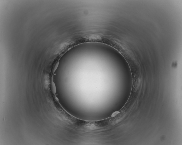 X0000092080704200709191225