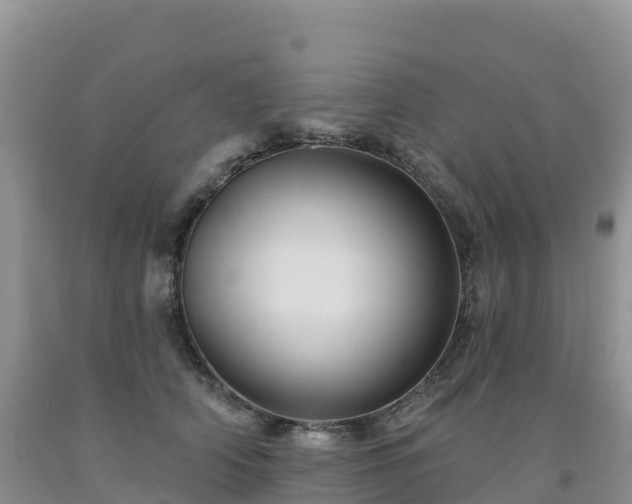X0000092080706200709191225