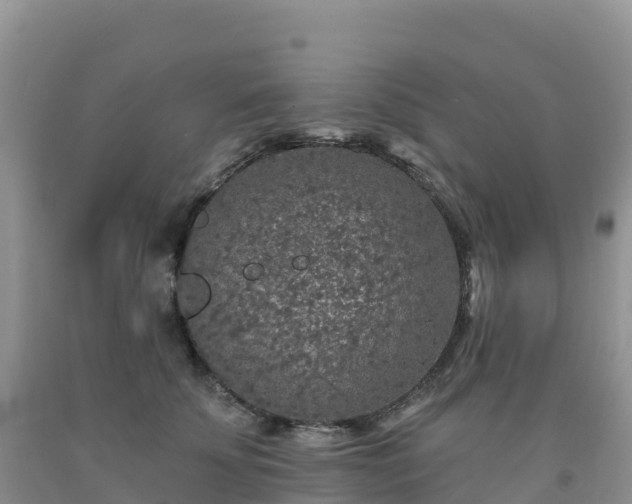 X0000092080707200709191225