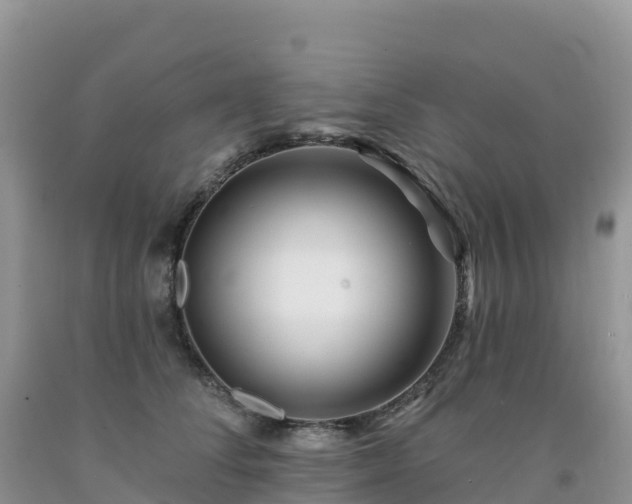 X0000092080708200709191225