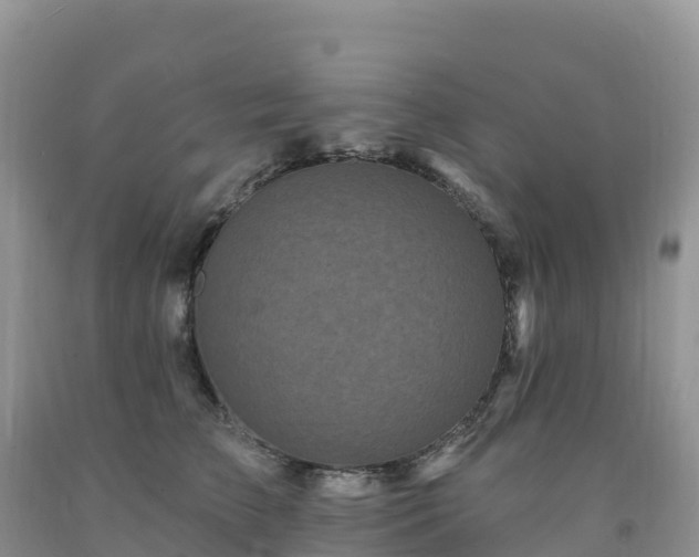 X0000092080709200709191225
