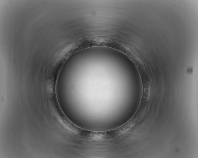 X0000092080710200709191225
