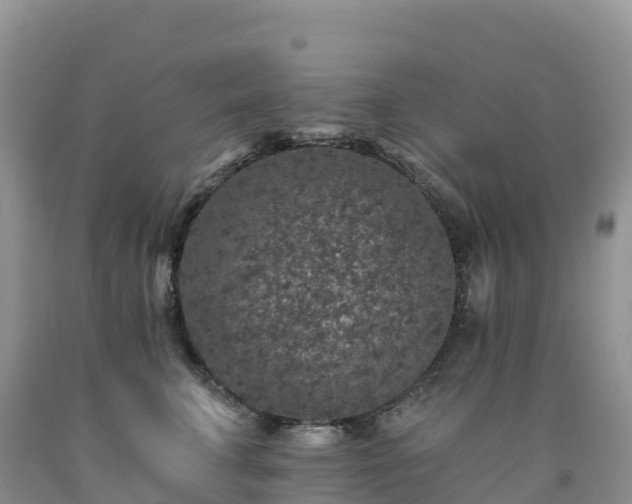 X0000092080711200709191225