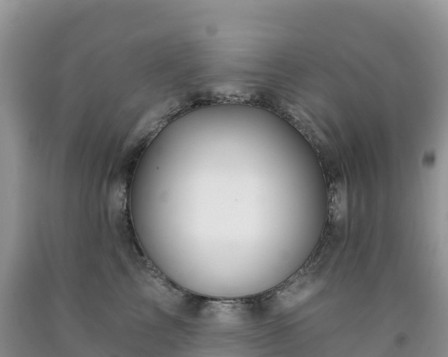 X0000092080713200709191225