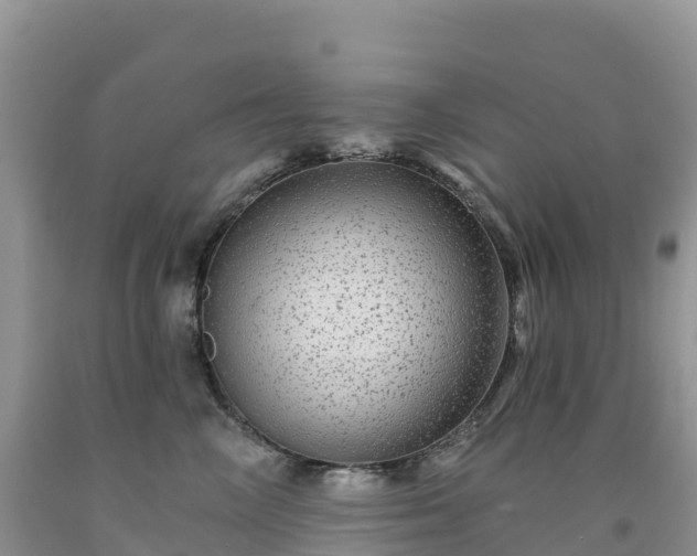 X0000092080714200709191225