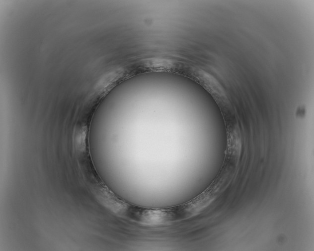 X0000092080717200709191225