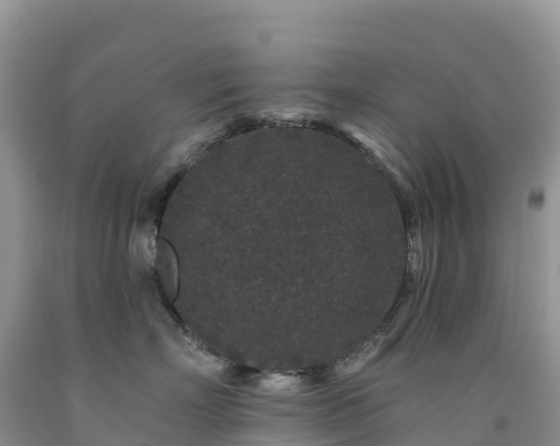 X0000092080718200709191225